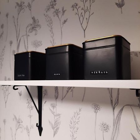 Apartament W Centrum Wroclawiaアパートメント エクステリア 写真