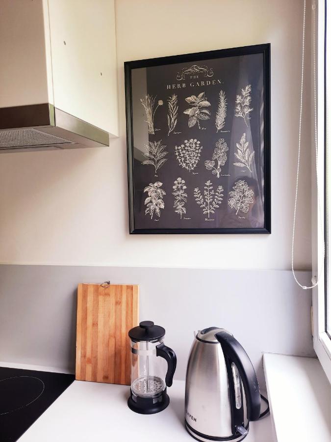 Apartament W Centrum Wroclawiaアパートメント エクステリア 写真