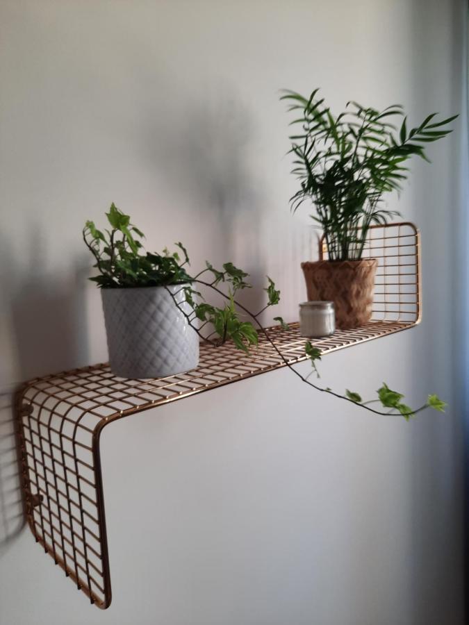 Apartament W Centrum Wroclawiaアパートメント エクステリア 写真