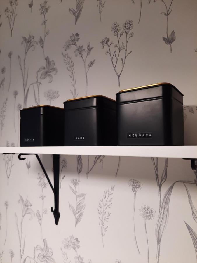 Apartament W Centrum Wroclawiaアパートメント エクステリア 写真